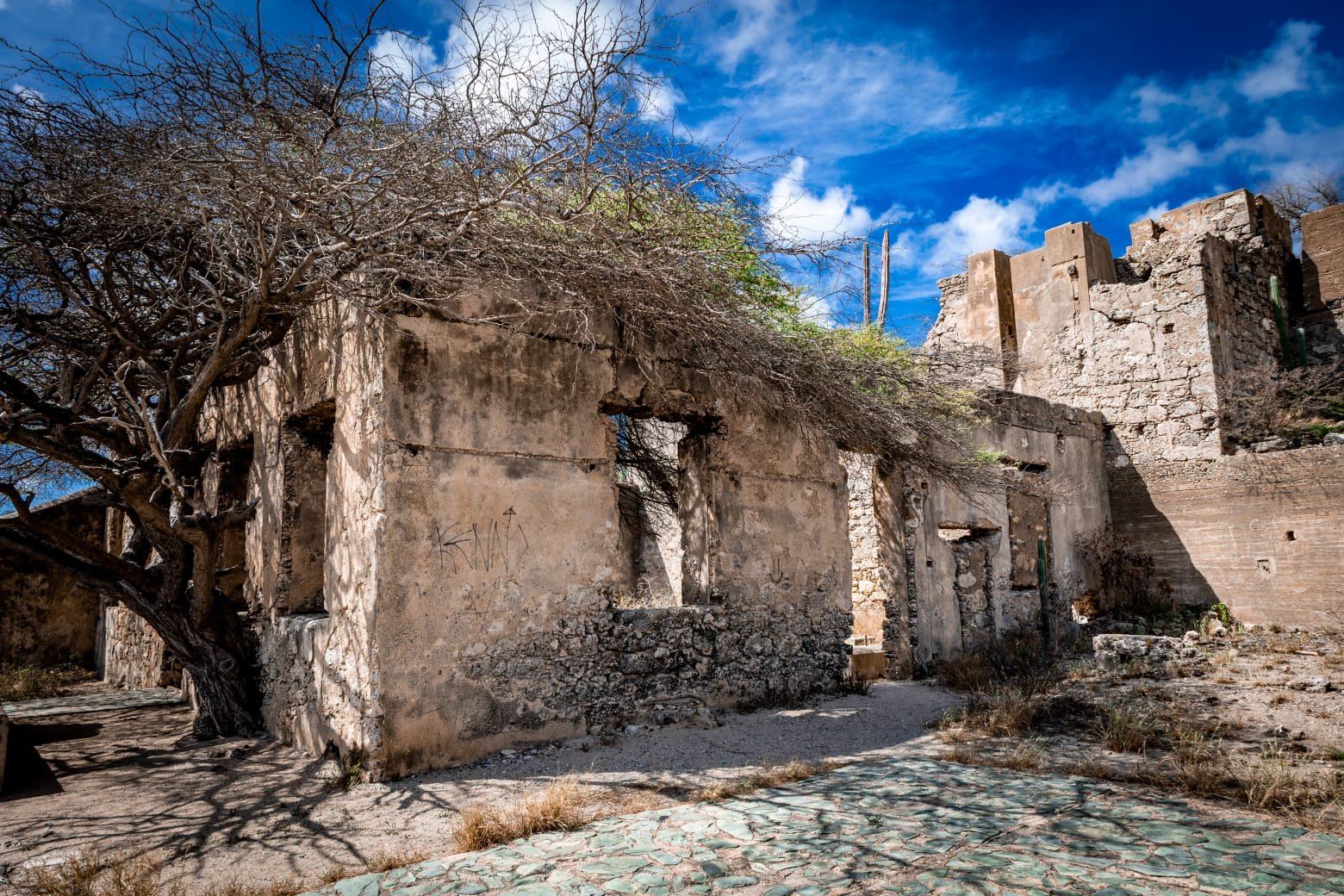 Bushiribana gold mill ruins
